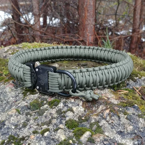 <span class=keywords><strong>2026</strong></span> 2025 Heavy Duty brede hondenhalsband voor sublimatie, trekriem met kikkerclip en slanggesp - Product Image 4