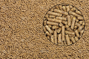 20 Kilogramos de Arena para Gatos de Partículas de Madera de Pino, Libre de Polvo, Fresca y Limpia, Solución para Desechos de Gatos - Product Image 4