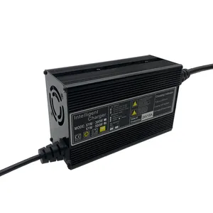 200AH Lithium Ion LiFePO4 Lead Acid Battery Charger Automatic 20A 15A Battery Charger 12V 24V