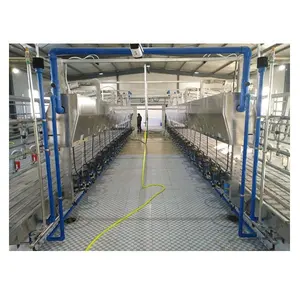 Haut taux <span class=keywords><strong>de</strong></span> <span class=keywords><strong>traite</strong></span> <span class=keywords><strong>Vache</strong></span> Salon <span class=keywords><strong>de</strong></span> <span class=keywords><strong>traite</strong></span> 80 Positions Composants-Pompe Moteur Fermes - Product Image 3