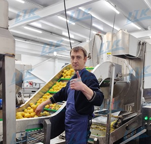 Máquina Industrial LTK Totalmente Automática para Hacer <span class=keywords><strong>Papas</strong></span> <span class=keywords><strong>Fritas</strong></span>, <span class=keywords><strong>Cortadora</strong></span> y Freidora <span class=keywords><strong>de</strong></span> Frutas y Verduras, para <span class=keywords><strong>Papas</strong></span> <span class=keywords><strong>Fritas</strong></span> Congeladas - Product Image 3