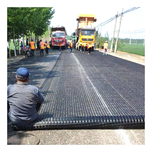 Vật liệu sợi thủy tinh sợi thủy tinh lưới sỏi paver <span class=keywords><strong>geogrid</strong></span> gia cố nhựa đường cho đường lái xe và xây dựng đường giữ lại bức tường - Product Image 1