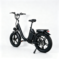 Meilleure Vente 2026 : Vélo Électrique 250W avec Batterie Amovible 48V 25Ah, Autonomie de 90km, Vélo de Ville Électrique