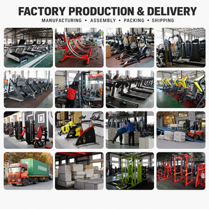 Équipement de Gymnastique Commercial de Haute Qualité DGZ, Machine Sportive, Équipement de Gym Complet, Usine de 30 000 m² Établie en 2018 dans le Shandong - Product Image 4
