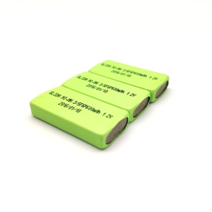 Pin Ni-MH 1.2V 600MAh 2.4V 3.6V 4.8V 6.0V 7.2V 8.4V 9.6V 10.8V 12V 13.2V 14.6V 15.8V - Product Image 4