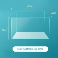 Aquarium de bureau en verre ultra-blanc, petit aquarium écologique pour tortues, style ruisseau naturel pour salon