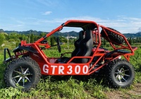 Easy-go — buggy électrique pour adultes, 2021 w/3000w, 2 sièges, bon marché, tout terrain, certificat CE, en promotion, nouvelle collection 5000