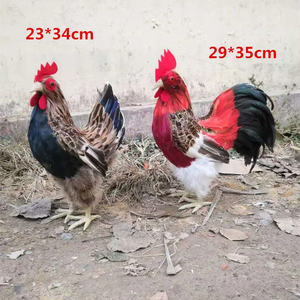 Modelo <span class=keywords><strong>de</strong></span> Gallina Blanca Simulada <span class=keywords><strong>de</strong></span> Plástico, Decoración <span class=keywords><strong>de</strong></span> la Suerte <span class=keywords><strong>para</strong></span> Diwali, Ramadán, Restaurante, Supermercado, Promoción <span class=keywords><strong>de</strong></span> Huevos <span class=keywords><strong>de</strong></span> Gallina, Escritorio - Product Image 5