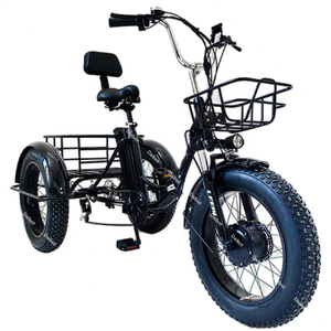 Vélo électrique pliable à pneus larges de 20 pouces pour adultes, tricycle électrique 48V 500W, vélo cargo électrique à <span class=keywords><strong>3</strong></span> <span class=keywords><strong>roues</strong></span> pour femmes et hommes, Ebike - Product Image 2