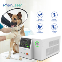 Machine laser au thulium 60W 1940nm TFL pour lithotripsie vétérinaire, élimination des strictures urétrales chez les animaux et équipement de chirurgie des tissus mous