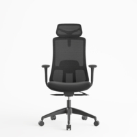 Chaise de bureau exécutive SITSTAR en maille, pivotante à 360°, avec support lombaire, base à cinq branches, certifiée BIFMA, pour réunions, bureaux commerciaux et lieux de travail design.