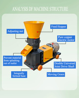 Nouvelle machine à granulés d'aliments pour animaux de petite taille, 100 kg/h, machine à fabriquer des granulés, équipement de traitement des aliments pour animaux pour une utilisation à domicile ou dans une petite ferme