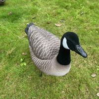 Leurre d'oie pliable en EVA léger, imperméable et réaliste en 3D pour la chasse aux oiseaux