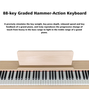 Piano numérique portable Beisite S-183, prix d'usine, <span class=keywords><strong>clavier</strong></span> professionnel 88 touches, son de rêve français, rechargeable avec étui - Product Image 2