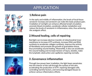 Physiotherapy Anti Inflammatory Deep Tissue Laser Device for <strong>Nerve</strong> Repair Athletic Injuries and Upper Back Pain - Product Image 4
