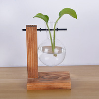 Vase en verre borosilicate de haute qualité, micro-paysage hydroponique créatif, support de fleurs, décoration, bonsaï charnu
