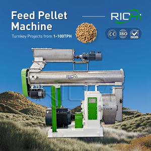 เครื่องอัดเม็ดอาหารสัตว์ RICHI 3-4 ตัน/ชม. ความจุสูง ขนาด 1 มม. สำหรับขาย - Product Image 1