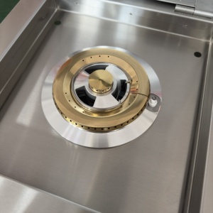 Ngoài trời được xây dựng trong thương mại barbeque điện Burner trượt trong đôi Side Burner BBQ Burner - Product Image 6