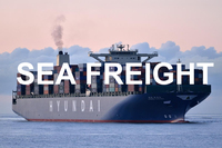 Service DDP de l'agent maritime de la Chine pour le transport multimodal maritime LCL + Express de transitaire de la Chine vers le Canada