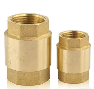 Válvula de Retención Vertical de Latón con Resorte, Manual, para Bombas con Conexiones BSP/NPT, Tamaño de Puerto de 1/2"-2" para Gas y Agua - Product Image 1
