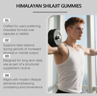 Gummies de Shilajit Pur de l'Himalaya OEM ODM, 85+ Oligo-éléments et Acide Fulvique, pour Hommes et Femmes