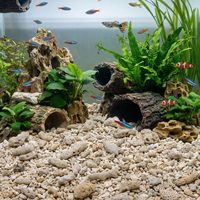 Sable de corail naturel PKY écologique pour aquarium, décoration de bassin, aménagement paysager, corail concassé
