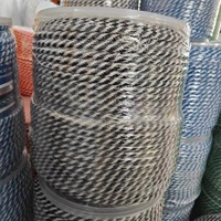 Corde d'emballage en nylon haute résistance de taille personnalisée, polyester tressé solide avec une construction durable