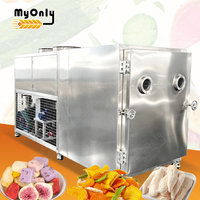 Industriële groothandel 200kg 500kg capaciteit fruit voedsel vacuümvriesdroogmachine prijs van de vriesdroogmachine