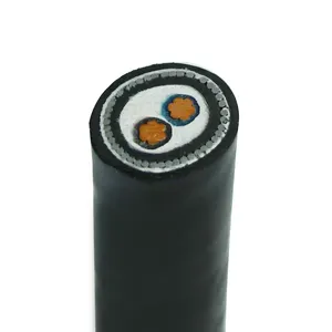 Câble d'alimentation en cuivre blindé, à faible tension 4mm 10mm 6mm 150mm 16mm, 2 fils