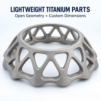 Service d'impression 3D sur mesure en alliage de titane, fusion laser sélective, tolérance de 0,01 mm, structures en treillis légères