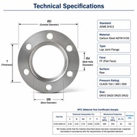 Bride de raccordement à joint de surjet en acier au carbone ASTM A105, classe 150 300 600, DN15 DN20 DN25 DN32, forgée, inspectée par CMM, pour l'industrie pétrolière et gazière, conforme ASME B16.5
