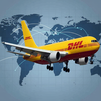 Servicios de Carga Aérea/Marítima DDP Económicos, Agente de Carga FBA Amazon, Agente Logístico de China a Estados Unidos/Canadá/Australia, Envío Exprés