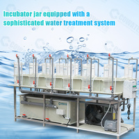 Incubateur d'œufs de tilapia en plastique PP de qualité alimentaire Cowater CW-FH-12, conçu pour une utilisation en pisciculture à haut taux de réussite