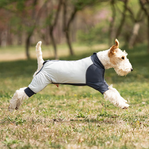 Mono de Verano para Mascotas con Logotipo Personalizado, Ropa Protectora de Secado Rápido, Anti-Caída de Pelo, a Prueba de Insectos y con Protección Solar para Exteriores - Product Image 1