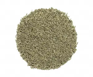 Hot sale cumin seeds for spices best quality new crops cumin seeds harvested bulk wholesale cumin seeds on sale