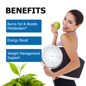Cápsulas Personalizadas para la Pérdida de Peso Saludable, Quemagrasas, Refuerzo Inmunológico, Suplemento de Extracto de Té Verde, Quema Grasa Abdominal - Product Image 3