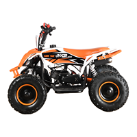 Quad à essence miniature 49cc 2 temps pour enfants, démarrage automatique, design Mini Raptor, jeu en plein air