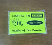 Cassette audio personnalisée avec impression offset directe, jaune, format J-Card, boîtier PS, capacité C-30, cassette musicale personnalisée