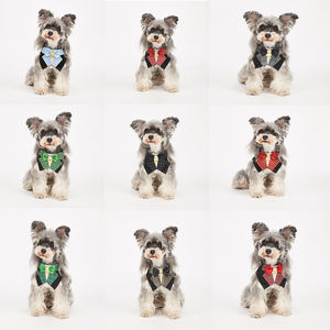 Tanpopo สายรัดคอแบบปรับได้ชุดเดรสพิมพ์ลายใหม่ชุดสูทสุนัขสไตล์อังกฤษผูกโบว์ปลอกคอสัตว์เลี้ยง - Product Image 6