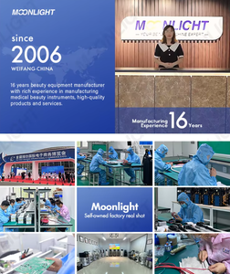 2022 probe dan dayung EMS Cryoskin termal T Shock 4.0 Ems tubuh memahat membakar lemak tubuh kontur Toning mesin pelangsing - Product Image 6