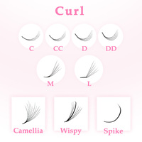 Lot de 1000 boîtes d'extensions de cils ultra-rapides 3D 4D 5D 6D 10D 20D C Cc D Dd M L Curl, bouquets pré-faits en vrac