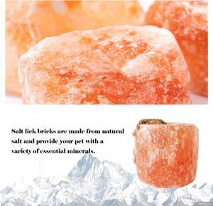 Blocco di sale <span class=keywords><strong>halite</strong></span> bianco solido per integratore minerale per bovini, nutrizione essenziale per bestiame, pietra salina pura da leccare per uso in fattoria e stalla - Product Image 6