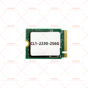 ใหม่ M.2 โซลิดสเตตไดรฟ์ 2230 PCIE โน้ตบุ๊ค SSD CL1-2230-256G - Product Image 3