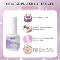 Vernis Gel Magnétique Effet Œil de Chat Brillant Scintillant Effet Verre pour Nail Art Style Français DIY Vente en Gros OEM