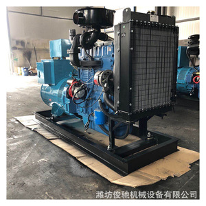 Groupe électrogène diesel Weifang 40 kW avec télécommande pour fermes d'élevage et stations de ski, alimentation de secours - Product Image 5