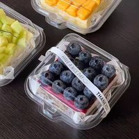 Boîte d'emballage transparente en PET jetable personnalisable pour tiramisu et dessert basque, boîte à gâteau en tranches, boîte à lunch