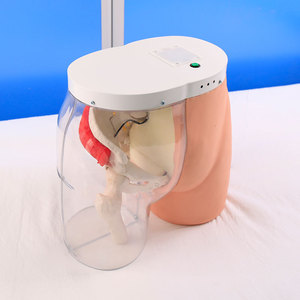 Modèle transparent d'<span class=keywords><strong>injection</strong></span> <span class=keywords><strong>intramusculaire</strong></span> fessière et de comparaison, modèle d'enseignement médical et de formation infirmière - Product Image 3