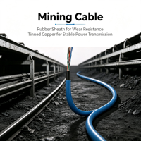 Câble minier MHYV isolé en caoutchouc, cuivre étamé, multiconducteurs 0,6 1KV pour la transmission de signal dans les mines souterraines de charbon