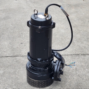 DWK.O.13.150.110.5.0D.R Pumpe 0,75-90KW Bereich Gusseisen-Komponenten 1 Jahr Garantie 380V 217kg - Product Image 3