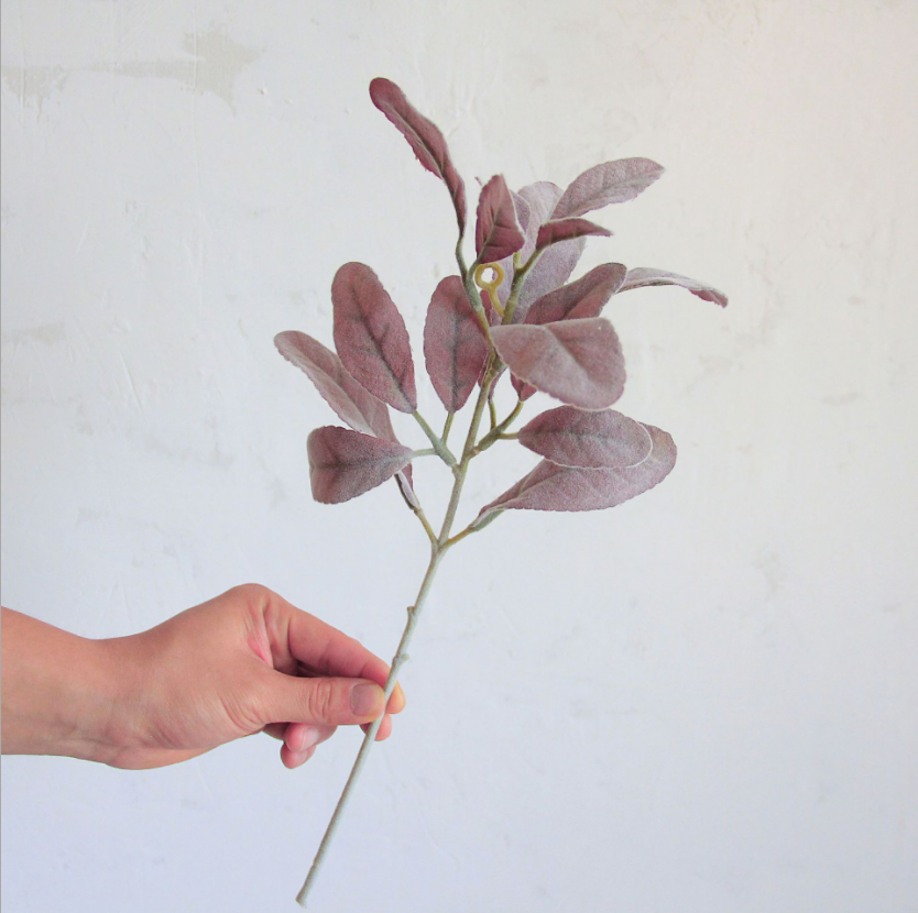 Capelli bianchi rossi